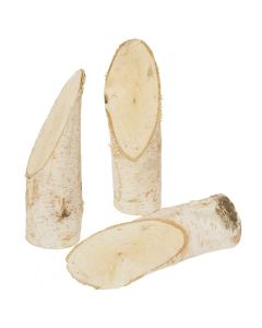 Birkenstämmchen 5er Set