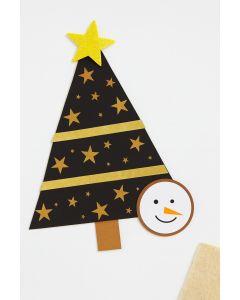 Fotokarton mit Sternen 50x70cm 10 Bogen, sw./gold