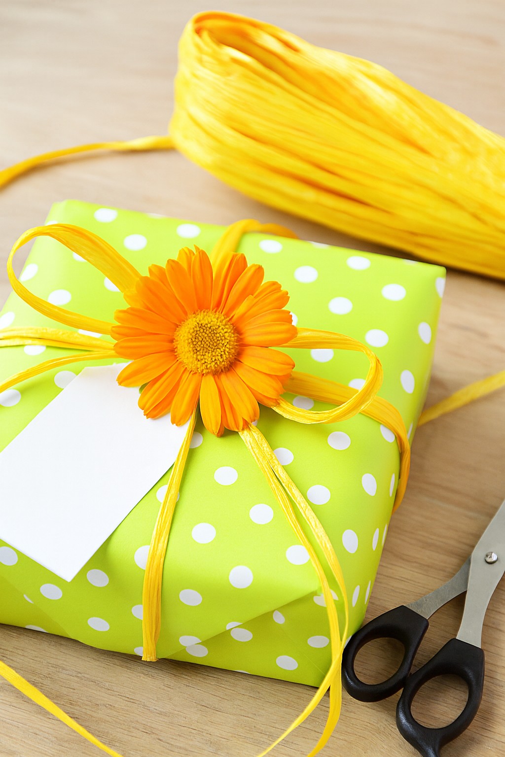 Edelbast 30m an einem Stück, bananengelb