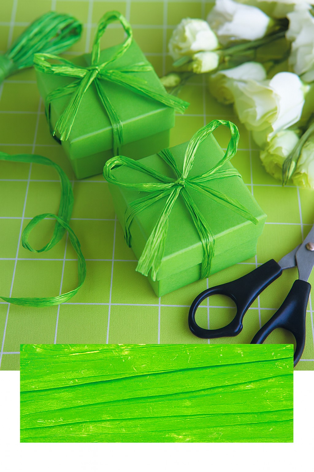 Edelbast 30m an einem Stück, hellgrün