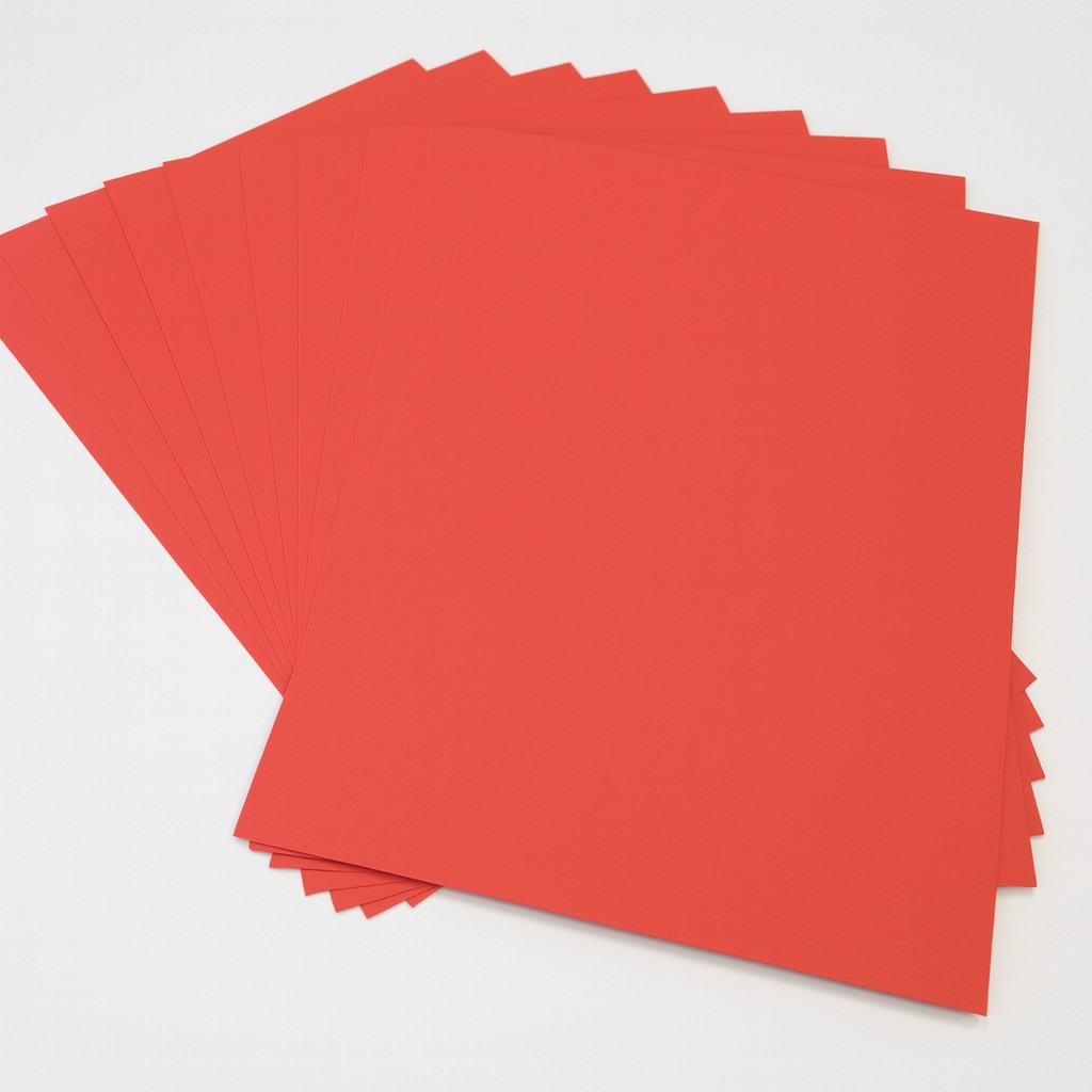 Fotokarton 50x70cm, 10 Bogen hibiscus